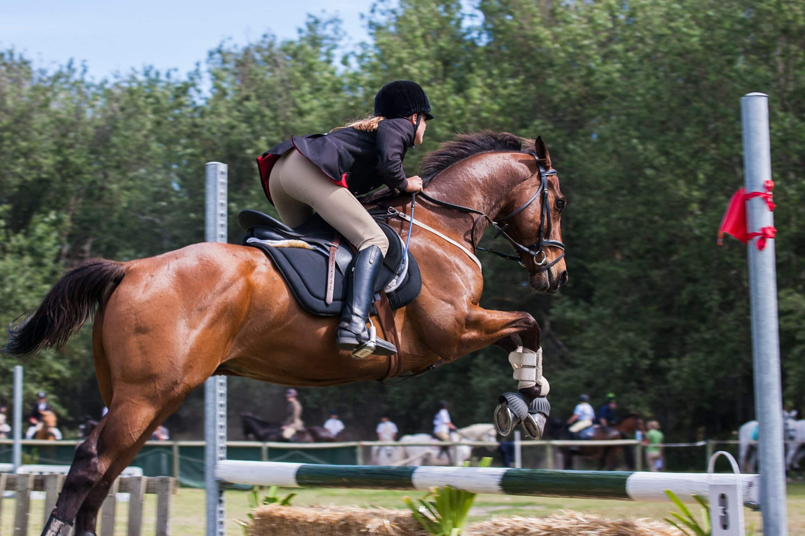 Kvalitetsrige og sikre ridehjelme fra Stald Direkte
