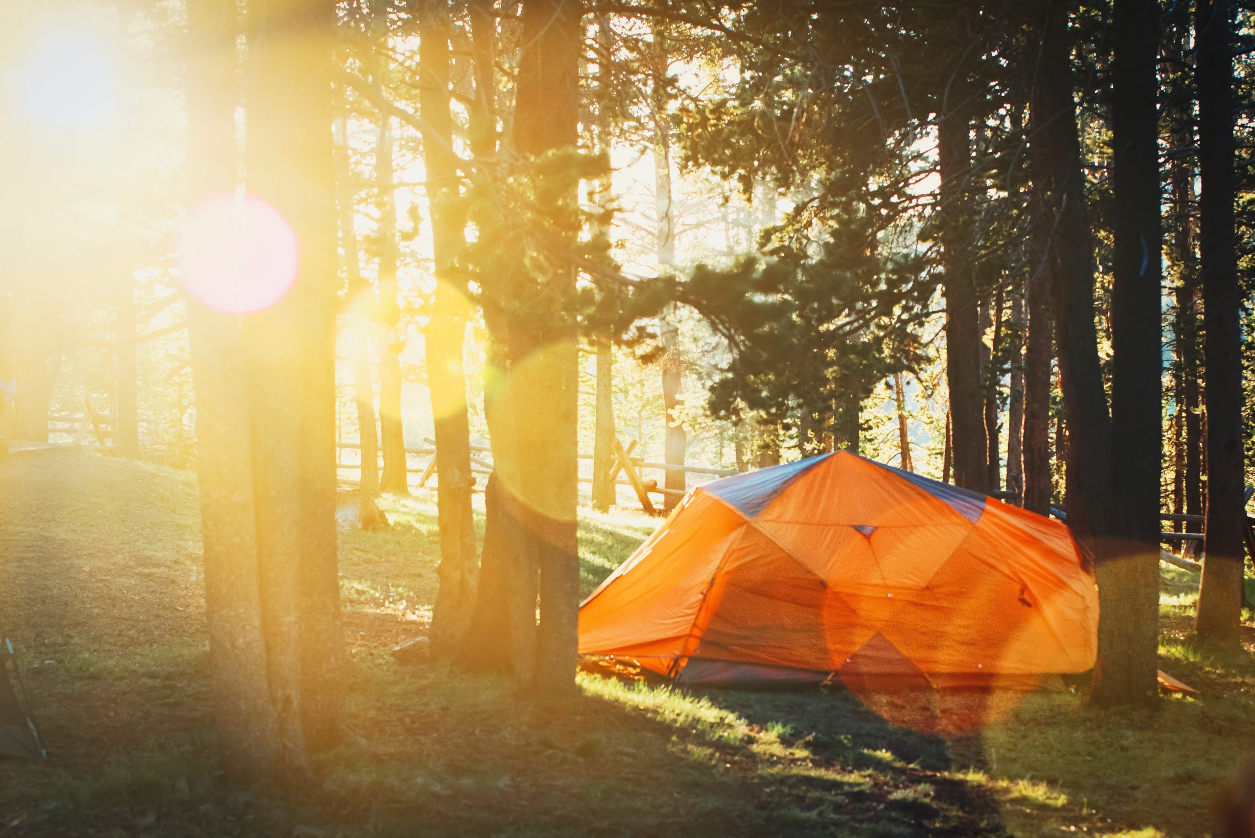 Camping ved Limfjorden